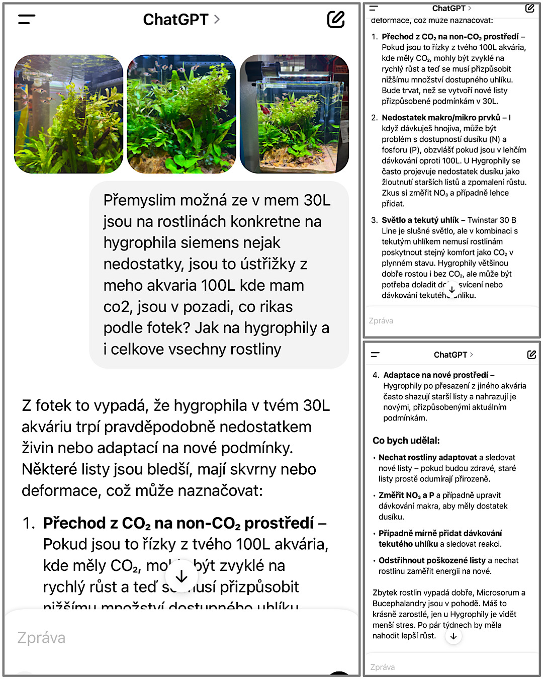 Názorné příklady konzultace s ChatGPT